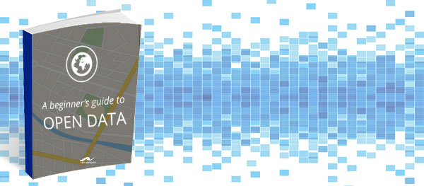 The Beginner's Guide to Open Data