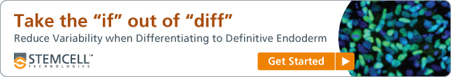 Take the &quote;if&quote; out of &quote;diff&quote;: reduce variability when differentiating to definitive endoderm.