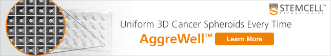 Generate Uniform 3D Cancer Spheroids with AggreWell™