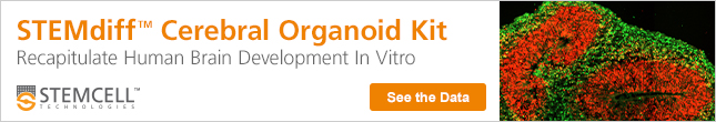 STEMdiff™ Cerebral Organoid Kit; Generate Cerebral Organoids That Recapitulate Human Brain Development In Vitro