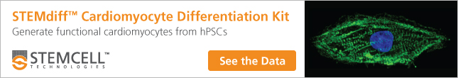 Generate functional cardiomyocytes from hPSCs with the STEMdiff™ Cardiomyocyte Differentiation Kit