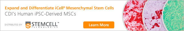 Expand and Differentiate iCell® Mesenchymal Stem Cells - CDI's Human iPSC-Derived MSCs