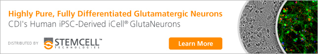 Highly Pure, Fully Differentiated Glutamatergic Neurons - CDI's Human iPSC-Derived iCell® GlutaNeurons