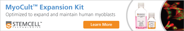 Expand Skeletal Muscle Progenitor Cells (Myoblasts) using the MyoCult™ Expansion Kit. Learn More.