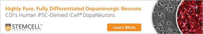 Highly Pure, Fully Differentiated Dopaminergic Neurons - CDI's Human iPSC-Derived iCell® DopaNeurons