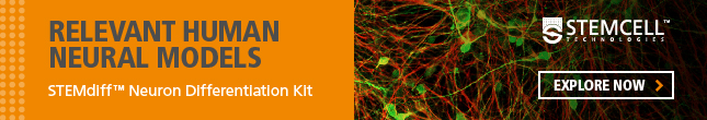 Create Relevant Human Neural Models with STEMDiff Neuron Differentiation Kit. Explore now!