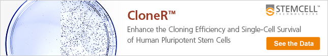 CloneR for Enhancing the Cloning Efficiency and Single-Cell Survival of hPSCs