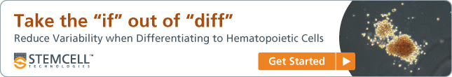 Take the if out of diff. Reduce variability when Differentiating to Hematopoietic Cells