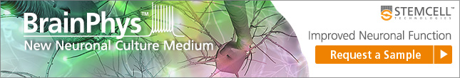 Request a Sample for Improved Neuronal Function with BrainPhys™ Neuronal Medium