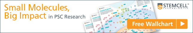 Free Wallchart: Small Molecules, Big Impact in PSC Research