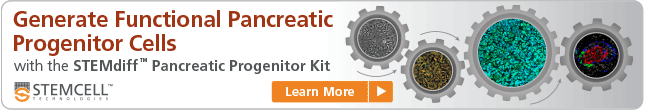Learn More: STEMdiff™ Pancreatic Progenitor Kit