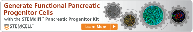 Learn More: STEMdiff™ Pancreatic Progenitor Kit 