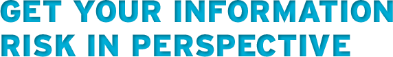 Get your information risk in perspective