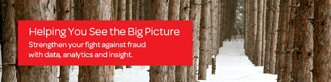 Helping You See the Big Picture. Strengthen your fight against fraud with data, analytics and insight.