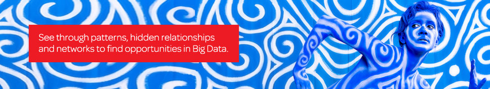 See through patterns, hidden relationships and networks to find opportunities in Big Data.