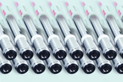 Thermo Scientific Syncronis LC Columns