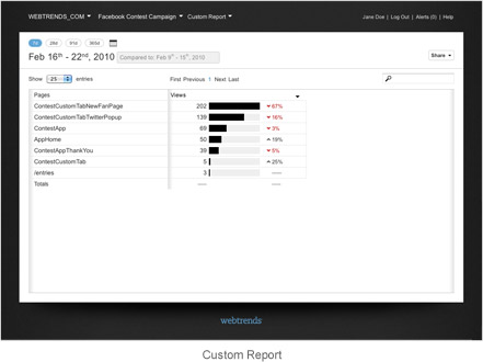 Facebook Custom Report