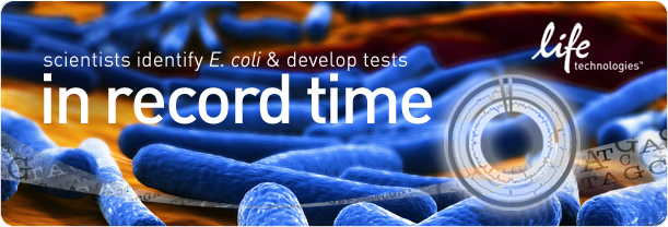  Scientists identify�E. coli�& develop tests in record time