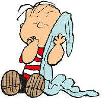 Technology Security Blankets