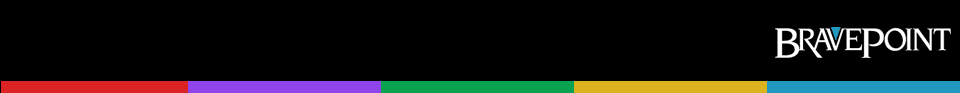 Bravepoint - CEO Success Strategies in Today's Economy