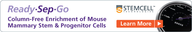 Column-Free Enrichment of Mouse Mammary Stem & Progenitor Cells