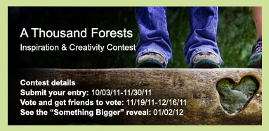 A Thousand Forests Contest