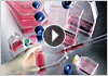 Video Cell Culture Basics