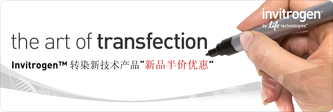 transfection banner
