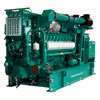 img-leanburn-genset