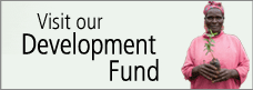 mbb_228x81_devfund