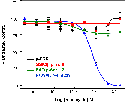 Kinase-E-mail-Figure2