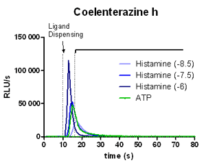 figure1.gif