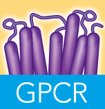 gpcr-sm