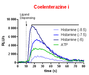 figure2.gif