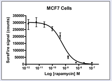 p70-S6K-MCF72.gif