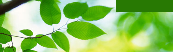 RegistrationBanner02
