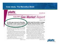 ACAM201203_ShaleForum_GasPetchemCaseStudy_thumb