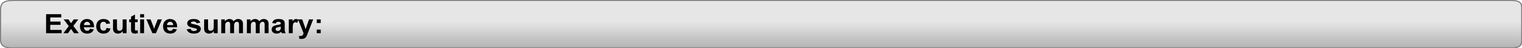 exec-summary-gray-bar