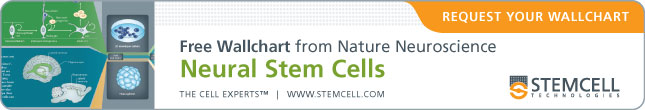 Free Wallchart from Nature Neuroscience: Neural Stem Cells