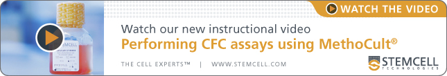 Watch The Video: Performing CFC Assays Using MethoCult™