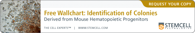 Free Wallchart: Identification Of Colonies Derived From Mouse Hematopoietic Progenitors