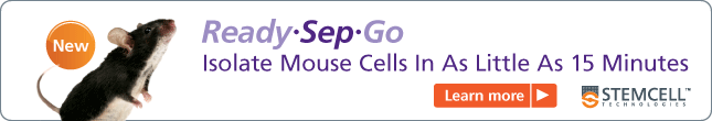 Isolate Mouse Cells In As Little As 15 Minutes