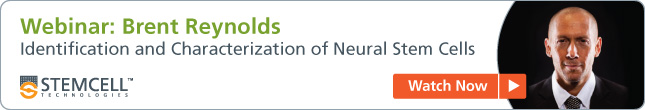 Webinar: Brent Reynolds on Identification and Characterization of Neural Stem Cells