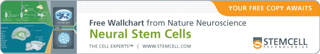 Your Free Copy of the Nature Neuroscience Wallchart "Neural Stem Cells" Awaits.