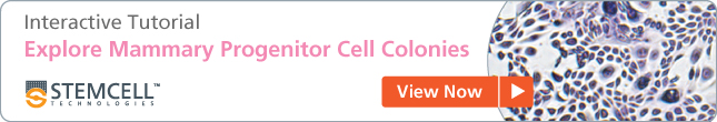 [Alt-text] Free Interactive Tutorial: Explore Mammary Progenitor Cell Colonies