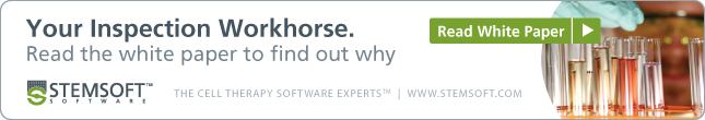 Read White Paper - STEMSOFT Software Inc.: Your Inspection Workhorse.