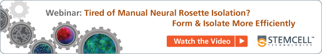 Watch the Video – Webinar: Tired of Manual Neural Rosette Isolation? Form and Isolate More Efficiently.