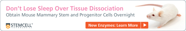 Don't Lose Sleep Over Mouse Mammary Tissue Dissociation (New Enzymes: Learn More)