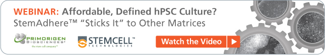 Watch the Video – Webinar: Affordable, Defined hPSC Culture? StemAdhere™ “Sticks It” to Other Matrices.