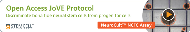 Open Access JoVE Protocol: Discriminating NSCs from NPCs with the NeuroCult&trade; NCFC Assay